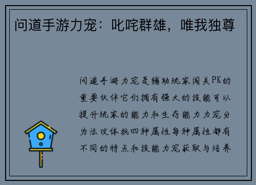 问道手游力宠：叱咤群雄，唯我独尊